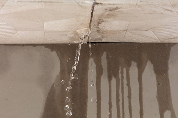 Professional Water Damage Restoration technician working in Falls Church, VA